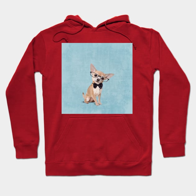 Mr Chihuahua Hoodie by Sparafuori